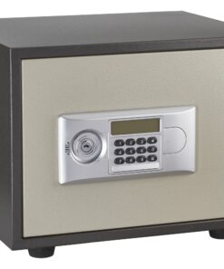 Fireproof vauban safe 1h00 2 bolts 300x420x350